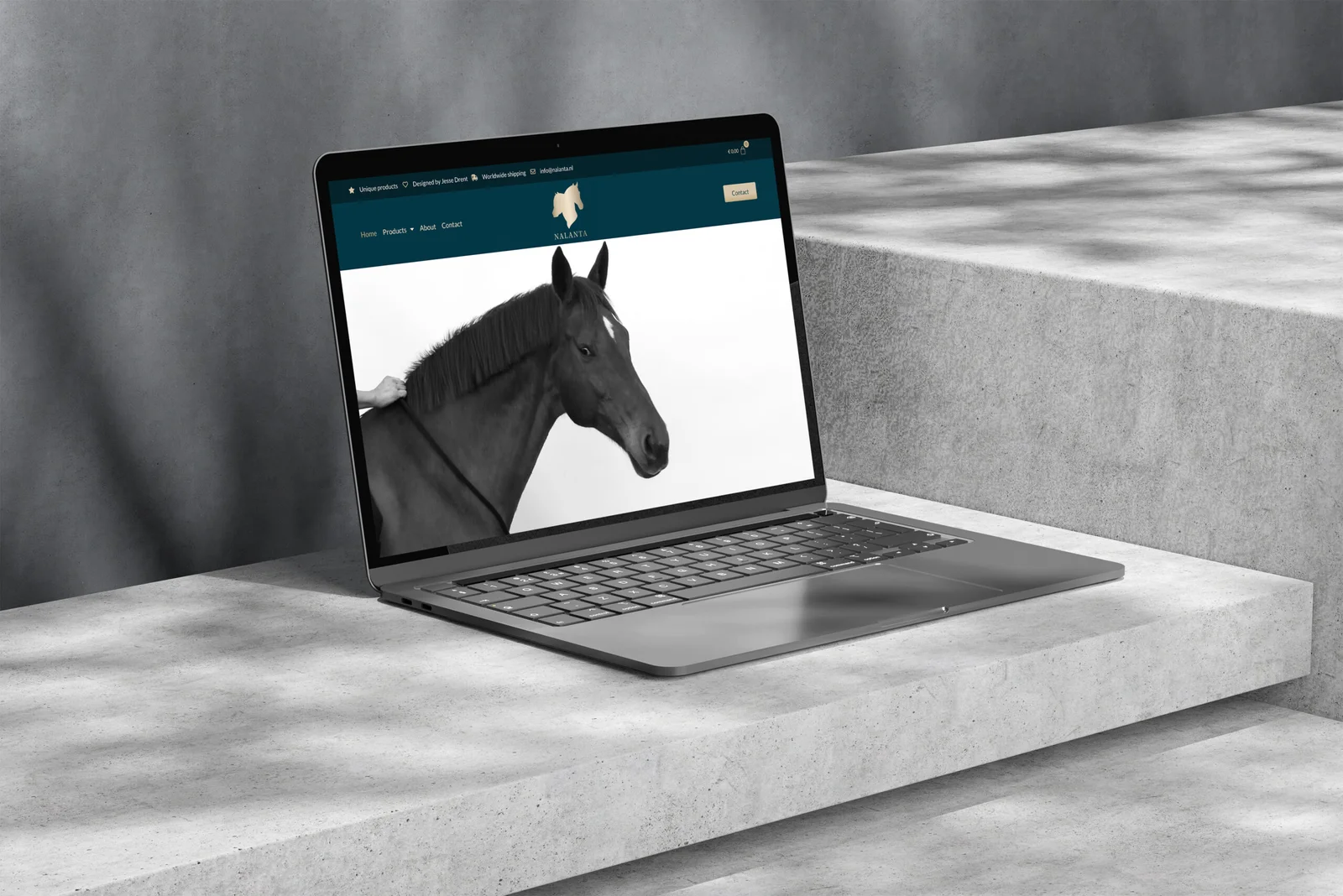 Nalanta-website--scaled